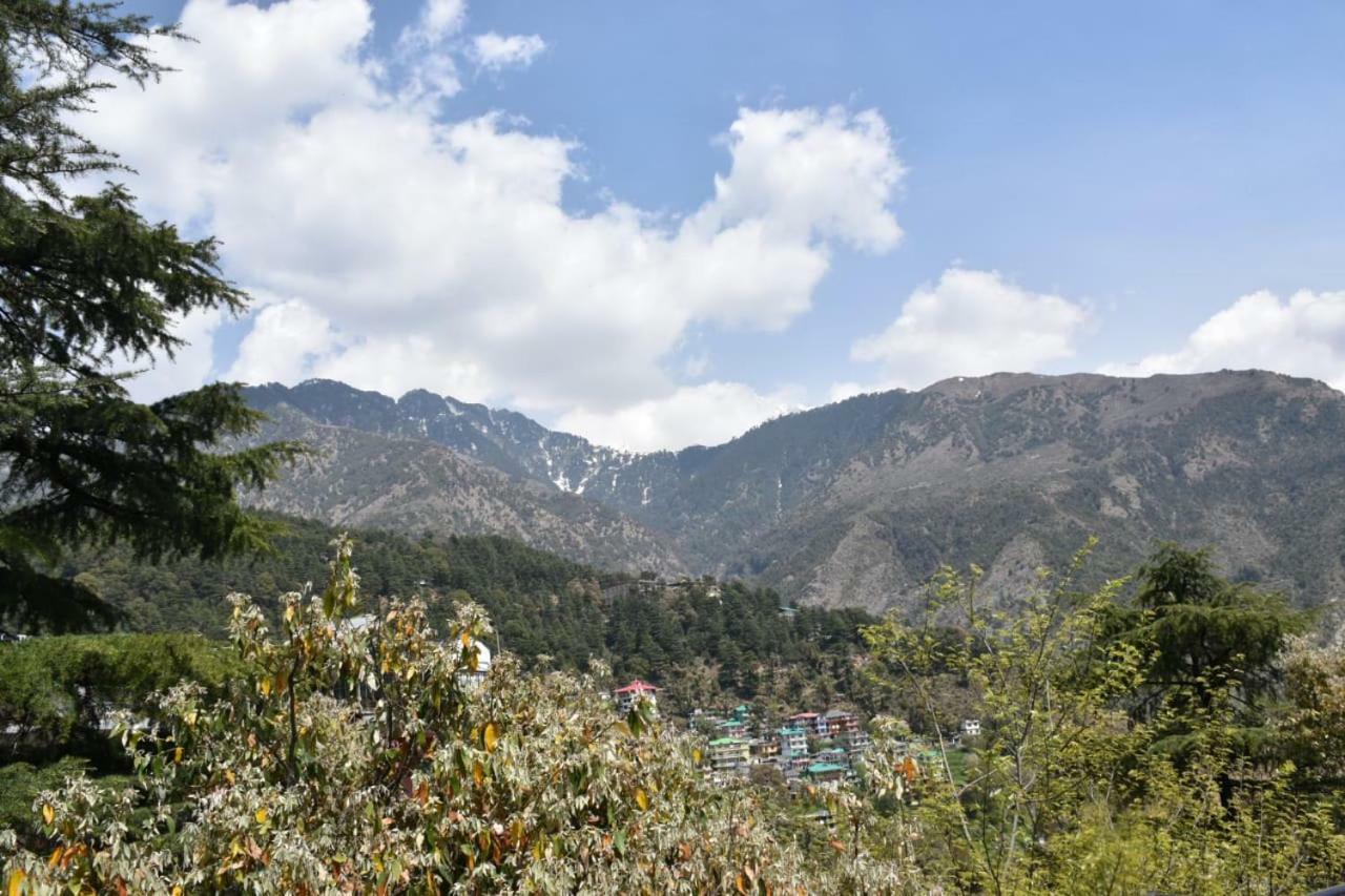Misty Woods Hotell Dharamshala Exteriör bild