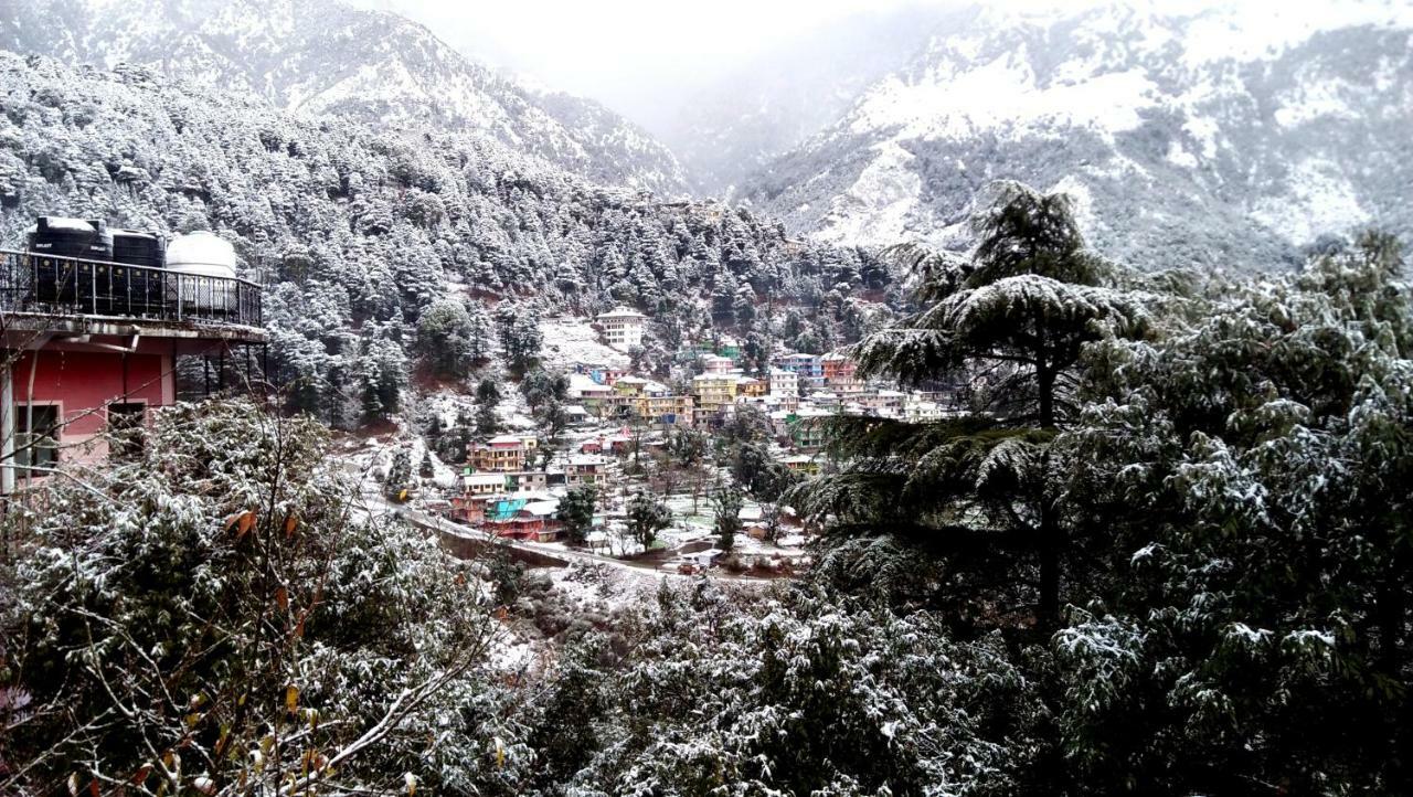 Misty Woods Hotell Dharamshala Exteriör bild